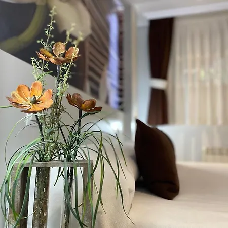 El Jardin 2* Soto de la Marina