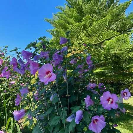 El Jardin Szálloda 2*