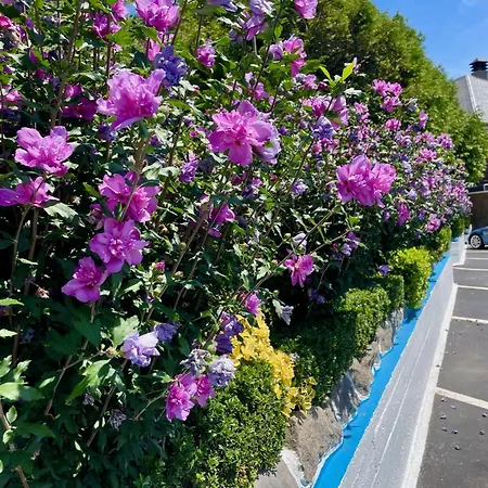 Szálloda El Jardin 2*