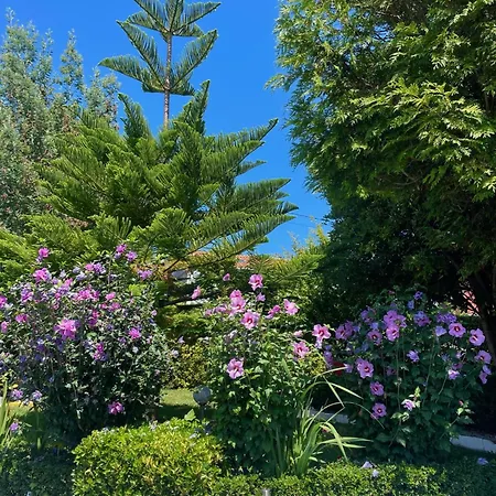 Szálloda El Jardin Soto de la Marina