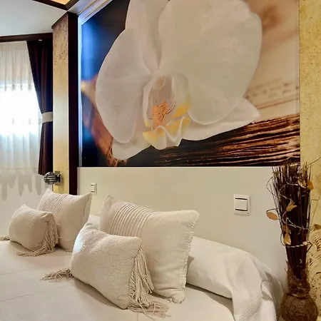 El Jardin Soto de la Marina