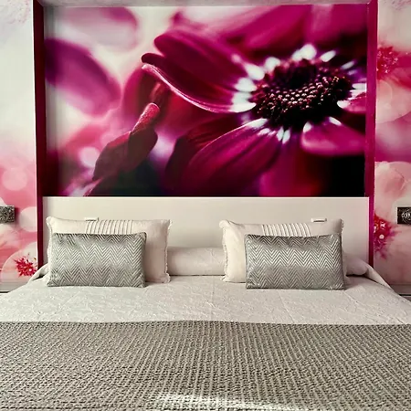 Hotel El Jardin Soto de la Marina