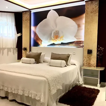 ホテル El Jardin 2*