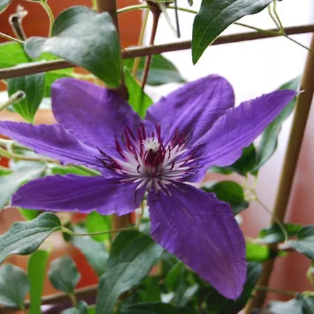 ホテル El Jardin