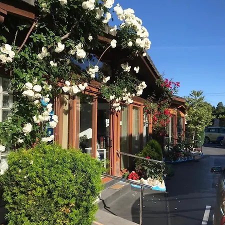 Hotel El Jardin