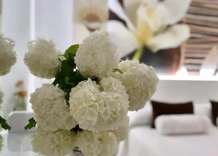 El Jardin 호텔 소토 데 라 마리나