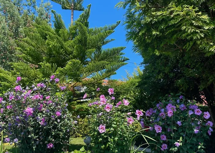 Hotel El Jardin Soto de la Marina
