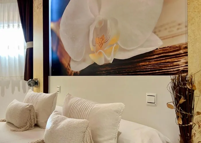 El Jardin Soto de la Marina