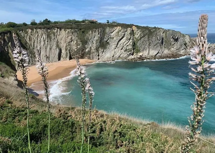 El Jardin ホテル ソト・デ・ラ・マリーナ