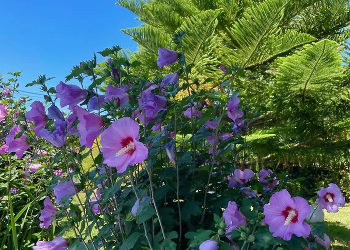 El Jardin ホテル 2*